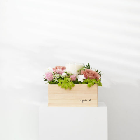 Gemma Blooming Box with Handcraft Candle | agnès b. FLEURISTE