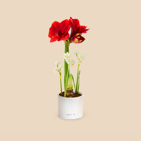 Fanny - agnes b Cafe Fleuriste