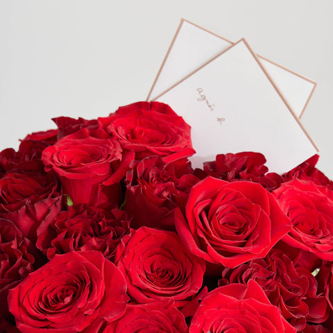 Valentine's Day Collection 2026