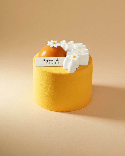Mango Passion Chocolate Cake