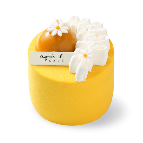 Mango Passion Chocolate Cake