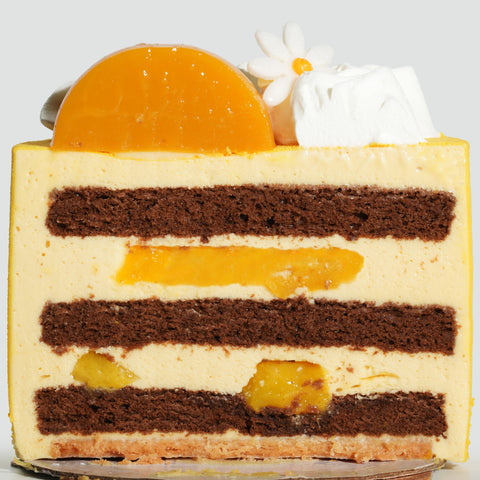Mango Passion Chocolate Cake