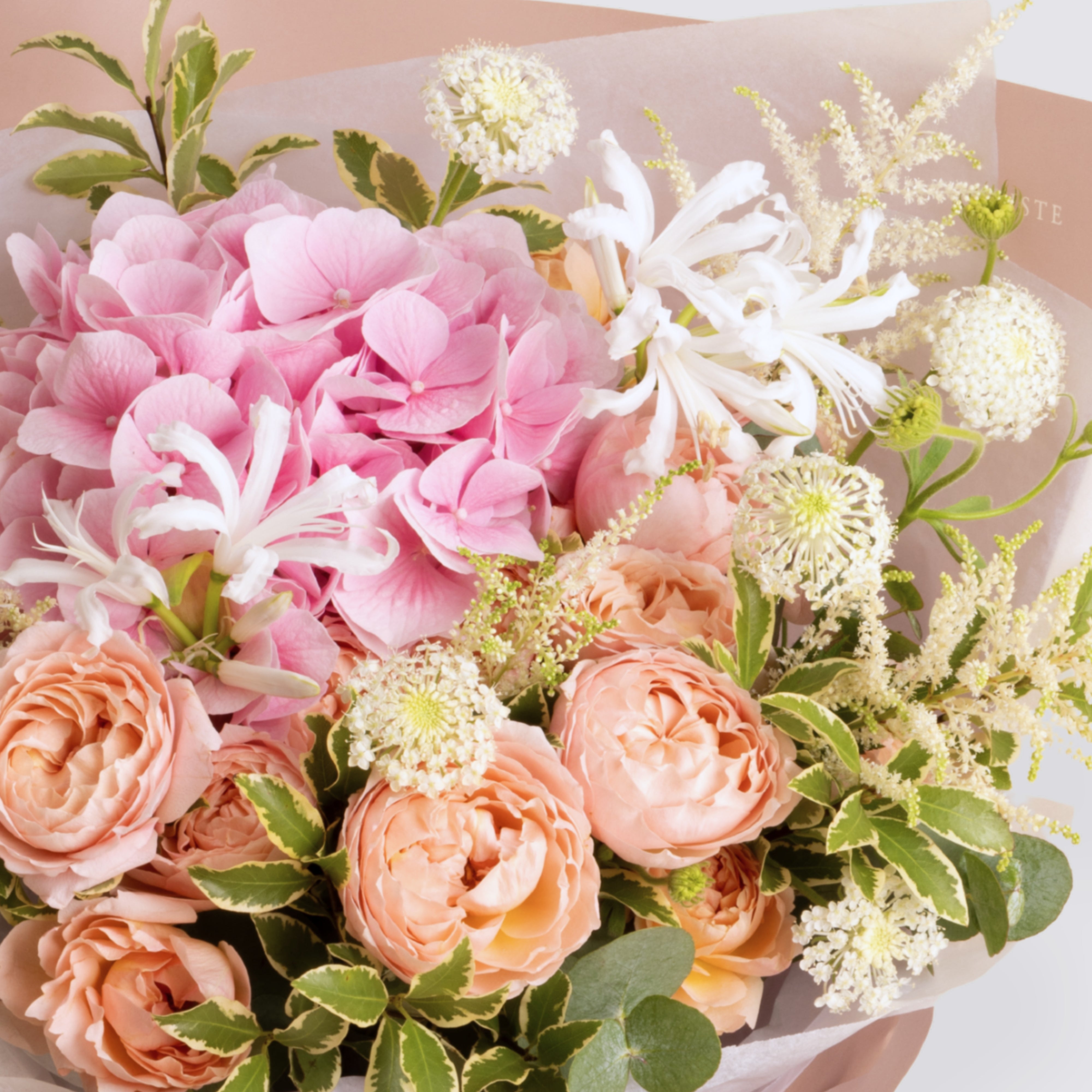 【美品】 Flowers For Agatha 1st 12EP Agatha - Red Dried & Preserved Flower in a Jar – Hello